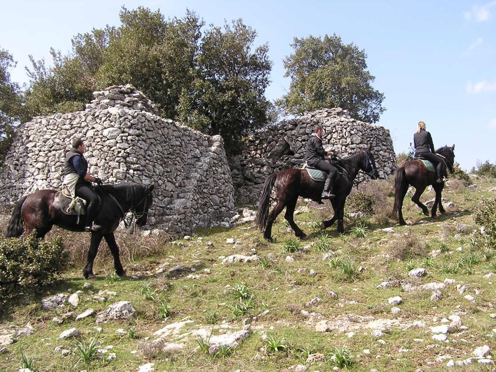 Hotel Menta E Rosmarino Monte SantʼAngelo Kültér fotó