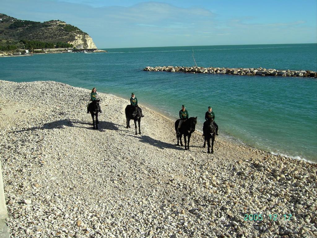 Hotel Menta E Rosmarino Monte SantʼAngelo Kültér fotó